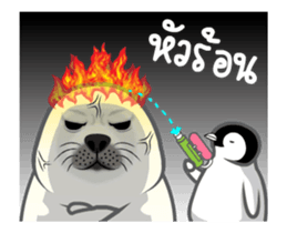 24556056
