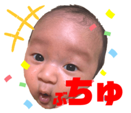 245574407