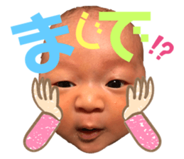 245574410