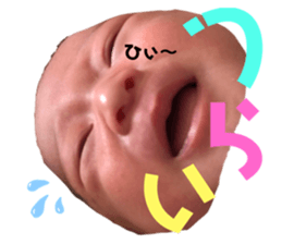 245574430