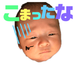 245574432