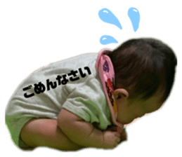 245583387