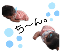 245583399