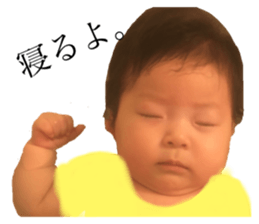 24562545