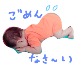 24565089