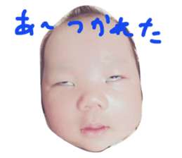 24565090