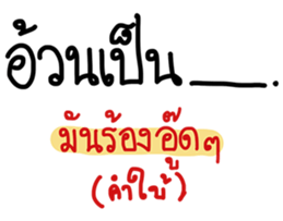 24565646