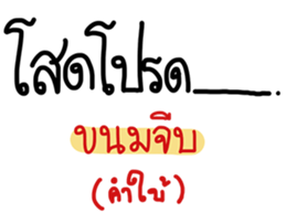 24565663