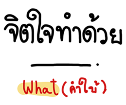 24565672