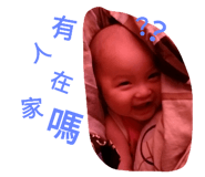 24579027