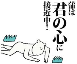 245791138