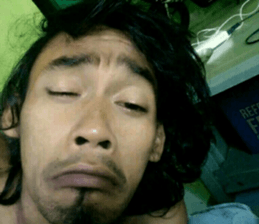 24581503