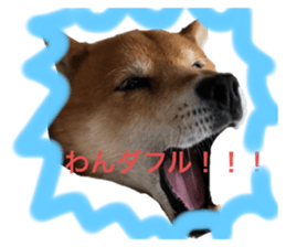 245842341
