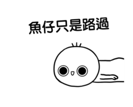 245846686