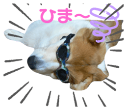245912941