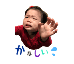 24594191