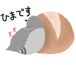 246007510