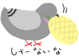 246007520