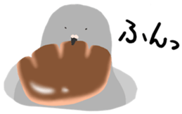246007528