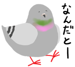 246007529