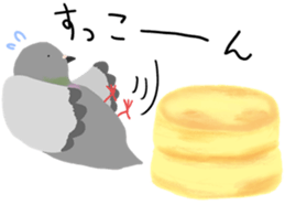 246007540