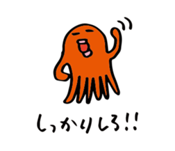 24604937