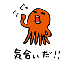 24604966
