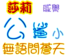 246062040