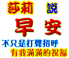 246062052
