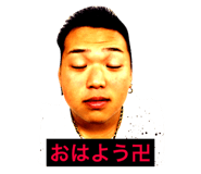 24607601