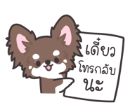 246081250