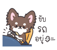 246081251