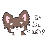 246081253