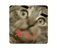 246125958
