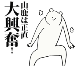 246195981