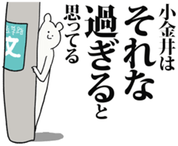 246263787