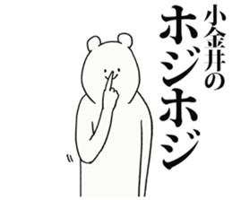246263804