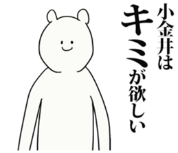 246263811