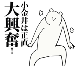 246263813