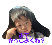 246303196