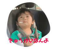 246303200