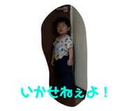 246303204
