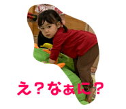 246303205