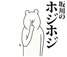 246333228