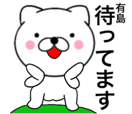 24635577