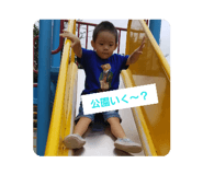 246369597