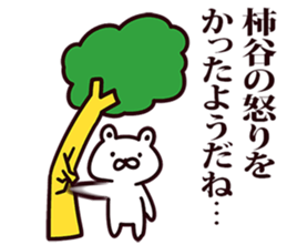 246382205