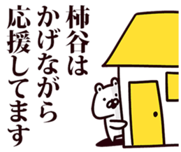 246382208