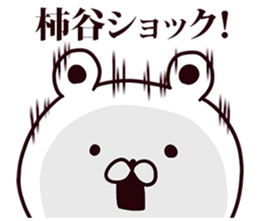 246382215