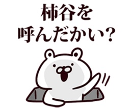 246382217